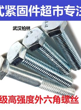 高强度镀锌8.8级外六角螺丝螺栓全牙半牙螺杆M12 16 20 25 35-150