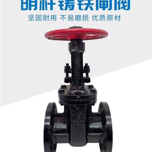 铸铁明杆法兰闸阀Z41T-16 铜芯铜杆排污闸阀DN50 65 80 100 125