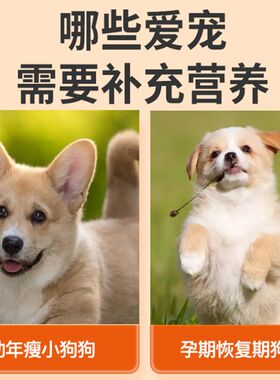 柯基犬专用营养膏狗狗补充剂宠物成犬幼犬老年犬补充营养维生素