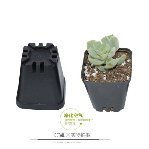 塑料花盆育苗盆小花盆方盆5cm高空叶插小盆6方小黑方彩色小方花盆