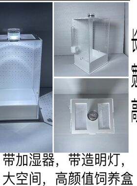 新款螳螂饲养盒跳蛛饲养盒蜘蛛昆虫亚克力蝈蝈笼子鸣虫盒子竹蛉盒
