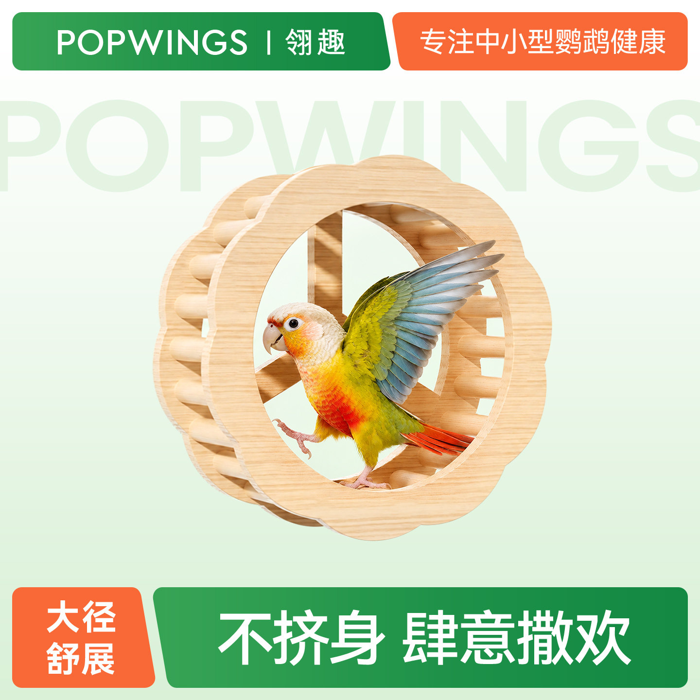 翎趣鹦鹉跑轮无胶实木静音解闷自嗨中小型鹦鹉玩具笼内装饰用品