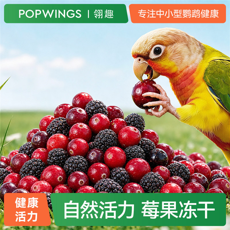 翎趣鹦鹉冻干新鲜莓果零食水果蔬菜训练奖励通用营养补充鸟零食