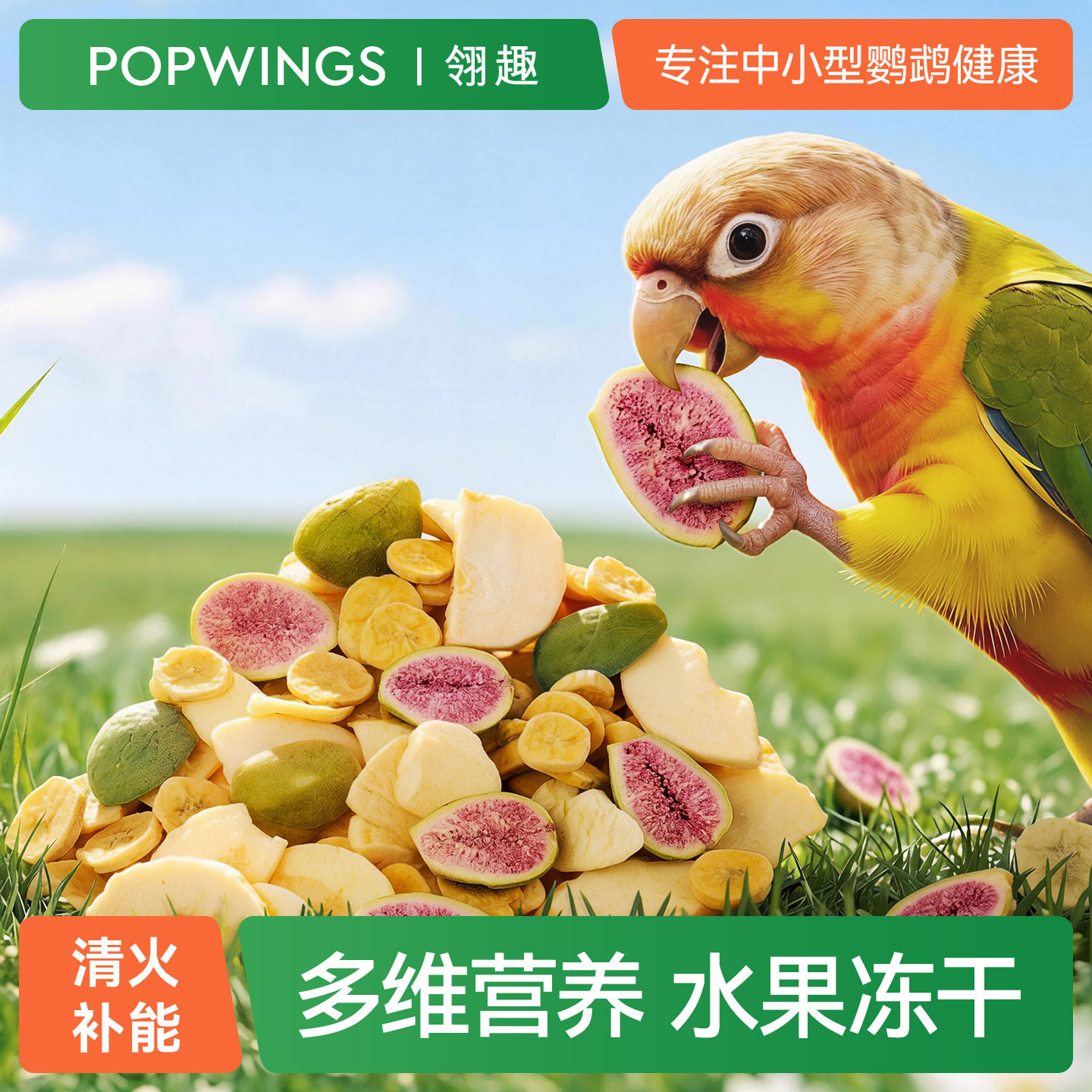 鹦鹉冻干新鲜水果零食莓果蔬菜训练奖励通用鹦鹉营养补充鸟零食