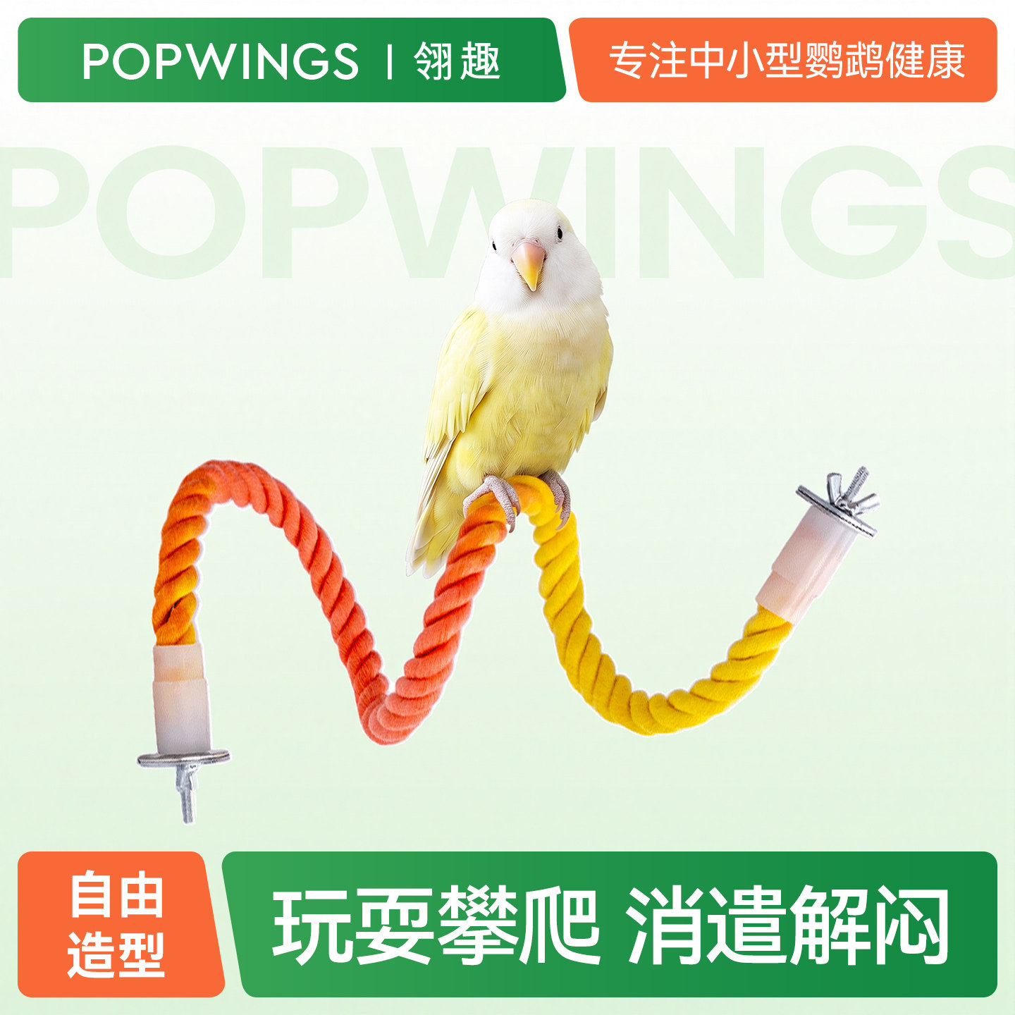 【强烈推荐】鹦鹉攀爬绳鸟秋千