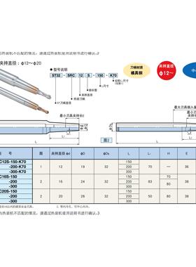 日本大昭和BIG烧结刀杆ST20-SRC12SS-200拍前询价