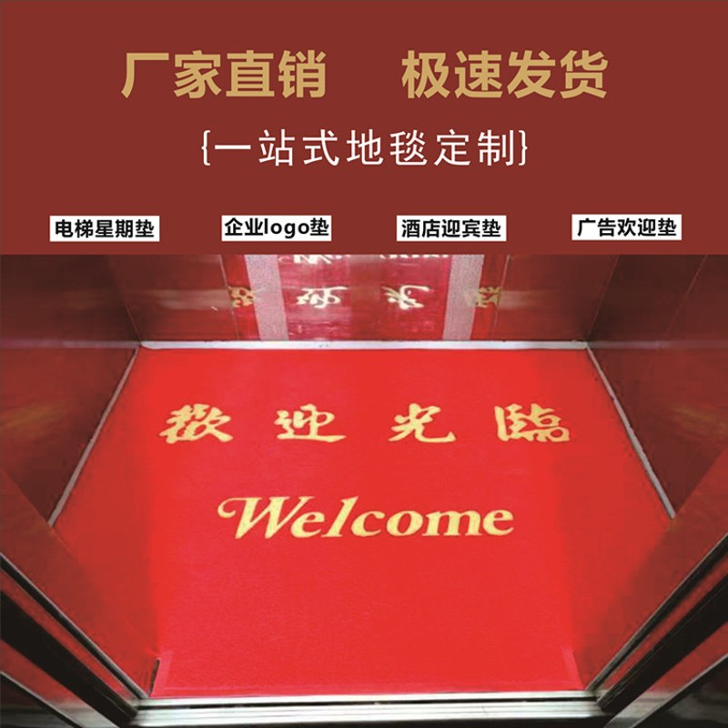 电梯地垫定制pvc塑胶丝圈地垫酒店迎宾logo星期地毯 欢迎光临地垫