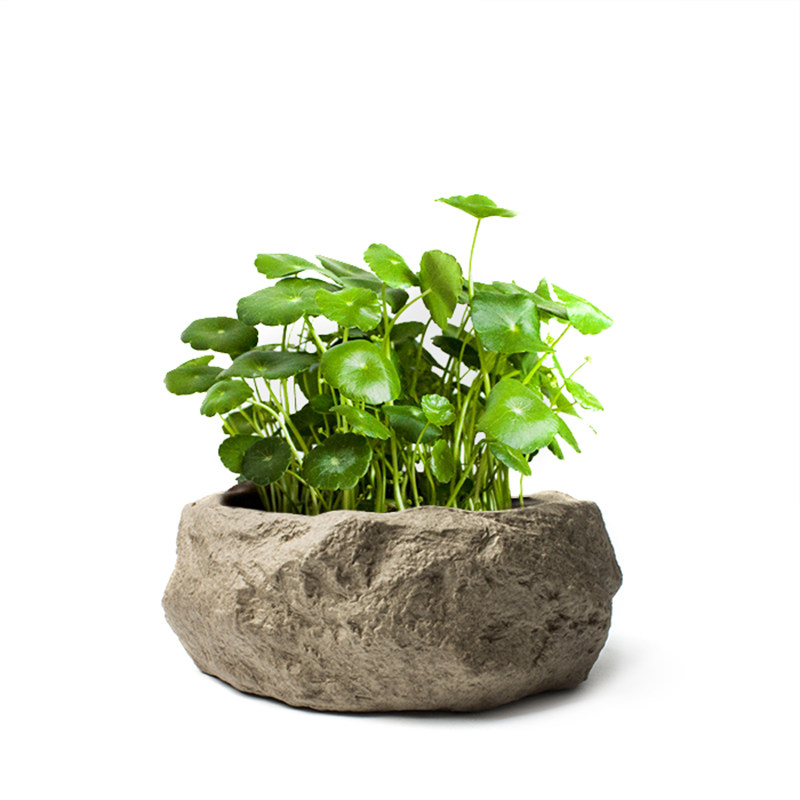 手工粗陶茶洗陶瓷杯洗水培植物花盆渣斗笔洗大号水盂茶道零配包邮