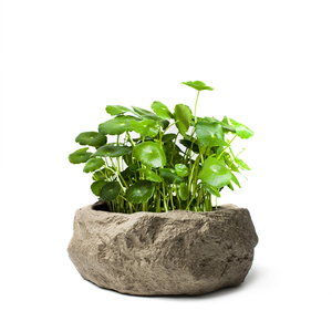 手工粗陶茶洗陶瓷杯洗水培植物花盆渣斗笔洗大号水盂茶道零配包邮