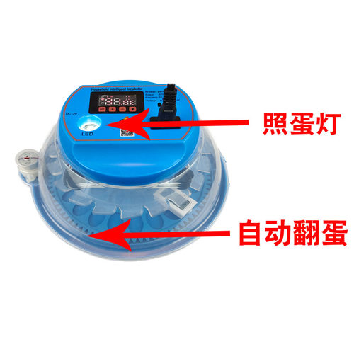 鸟鹦鹉孵化器小型家用孵化箱机玄凤牡丹鹌鹑鸽子虎皮智能恒温专用