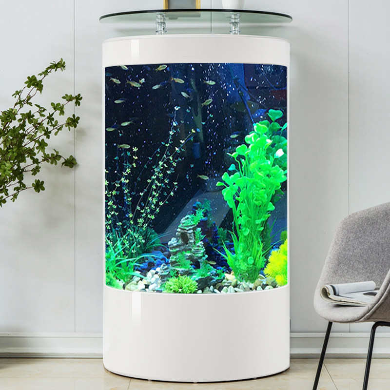 轻奢半圆形简约玻璃鱼缸客厅家用水族箱落地生态立式免换水生态缸