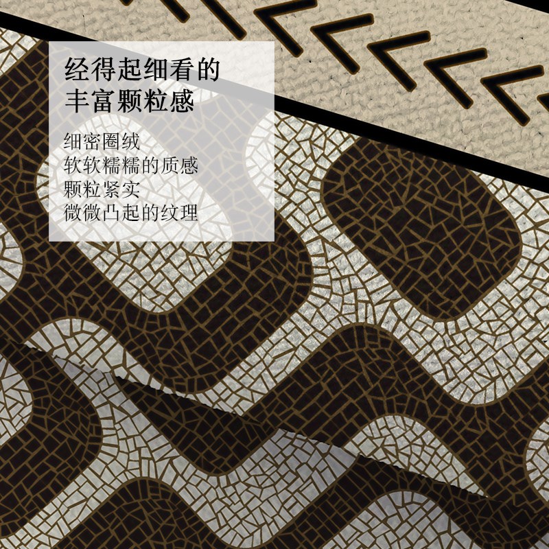轻奢高级感门地垫耐脏进门地毯防滑玄关脚垫家用定制门口脚踩地毯