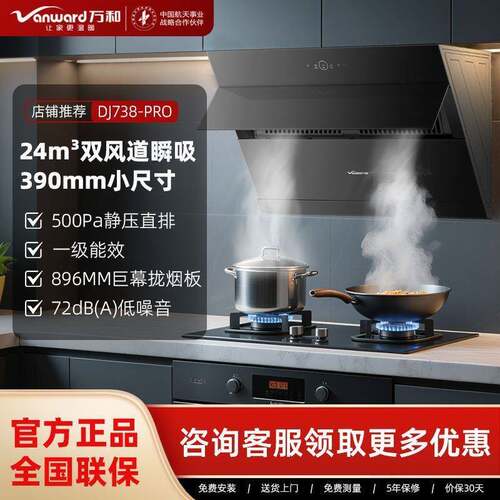 抽油烟机家用厨房大吸力大风量抽油烟机侧吸式低噪DJ738P其他