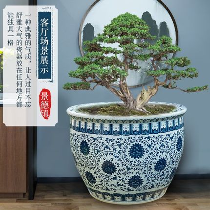 景德镇陶瓷大缸手绘青花客厅锦鲤家用室外庭院养鱼荷花缸睡莲缸