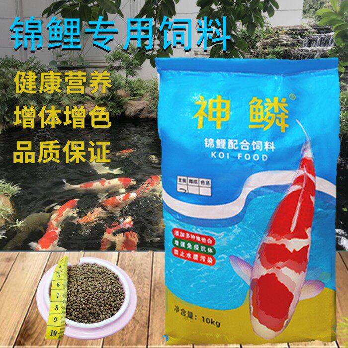 经济型观赏锦鲤鱼粮饲料渔场主供增体色不浑水颗粒育成色扬螺旋藻