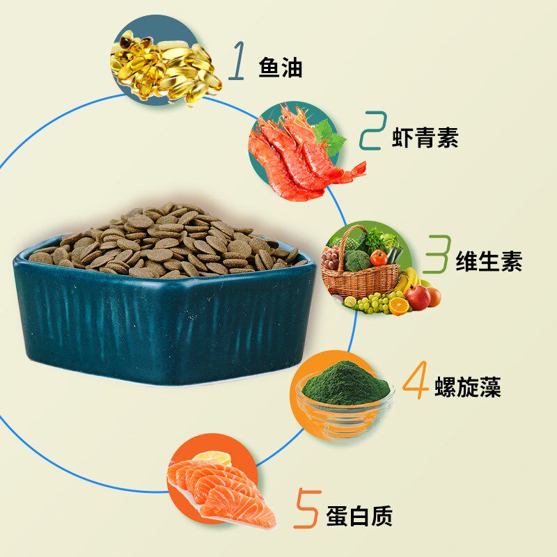 保拿仕大型肉食配合饲料通用型高蛋白鱼食底栖异型虎头鲨营养鱼粮