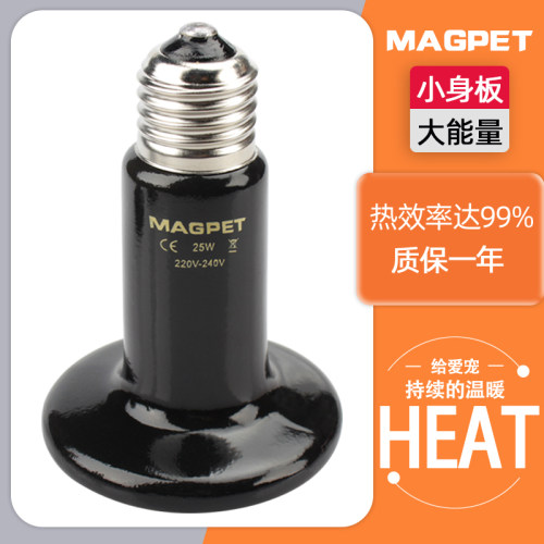 爬虫饲养箱蜥蜴陶瓷加热灯爬宠乌龟加温灯刺猬龟箱陆龟保温灯宠物