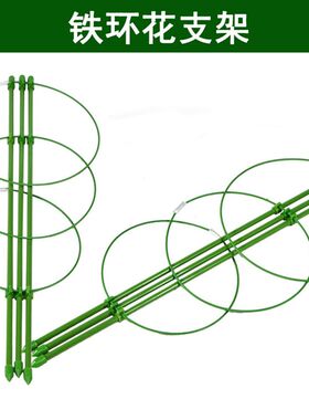 园艺花支架家用爬藤架室内盆栽植物绿萝固定铁环花架月季花支柱