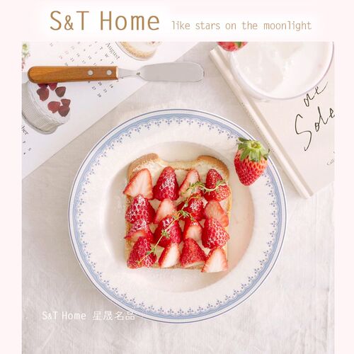 ST星晟 法式韩国ins复古手绘蓝花陶瓷盘家用菜盘深盘意面盘餐具