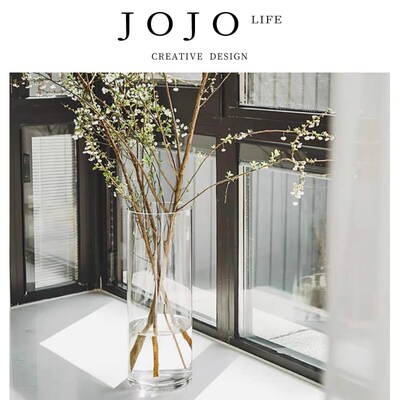 JOJO SL. lD.WilPow.花瓶玻璃摆件插花透明马醉木花器  雪柳