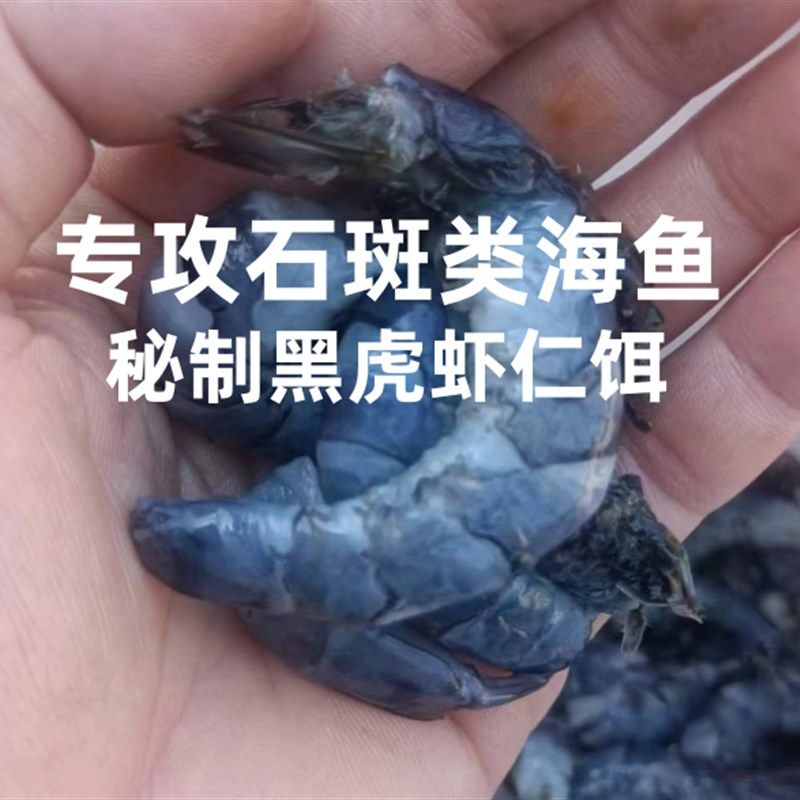 海钓鱼肉秘制黑虎虾专饵腌制金刚虾饵石斑鱼黄翅鱼饵料金鼓仁用