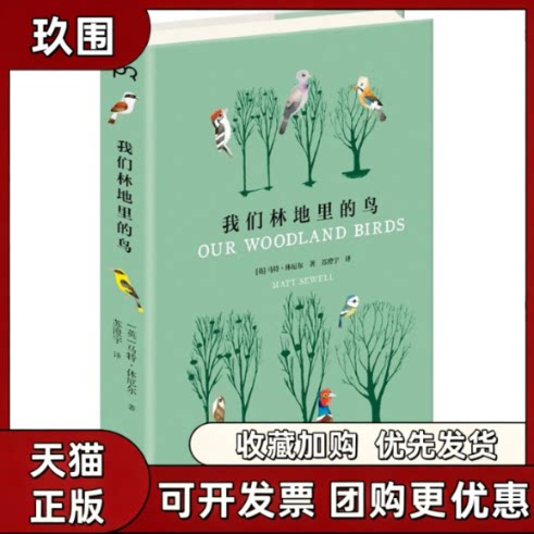 【正版书籍】我们林地里的鸟马特休厄尔苏澄宇湖南美术出版社
