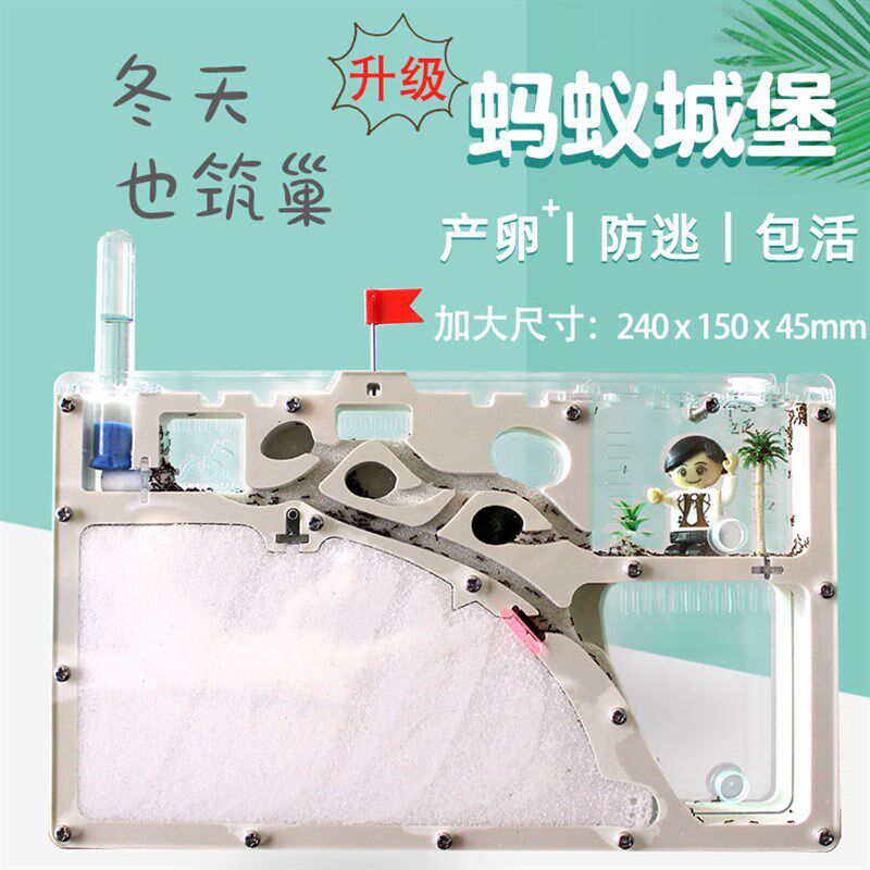 蚂蚁城堡 生态箱蚁村宠物蚂蚁工坊部落家园王国宫殿别墅沙子蚁巢