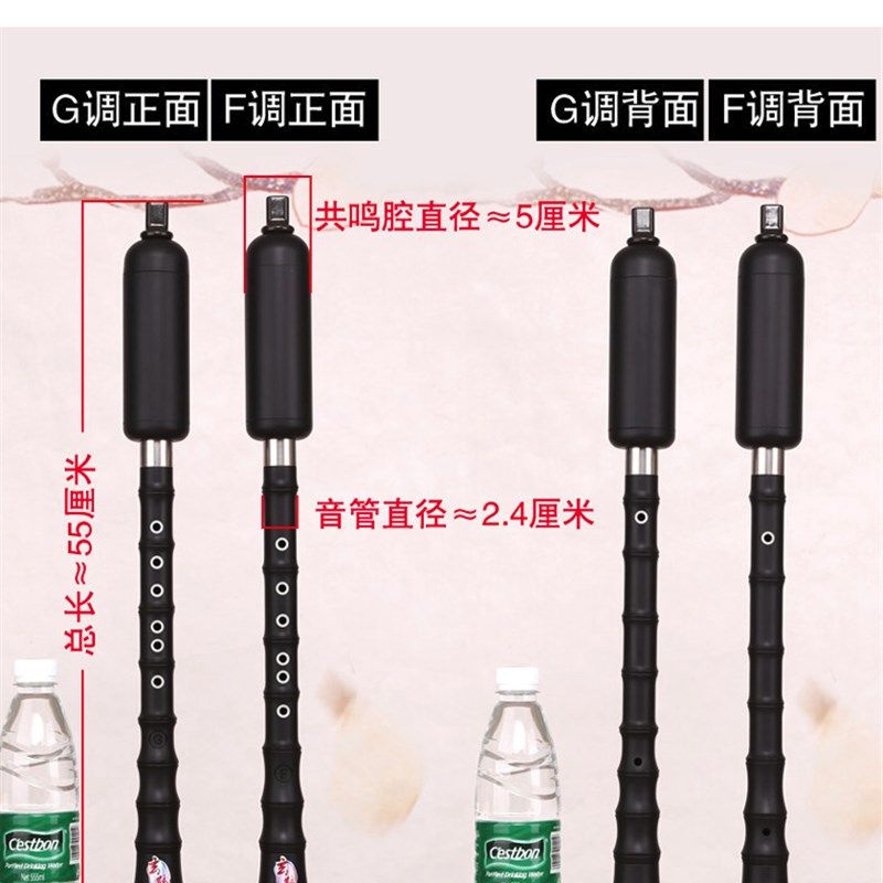 巴乌乐器竖吹成人专业演奏G调F调小学生初学入门大音量单管乐器