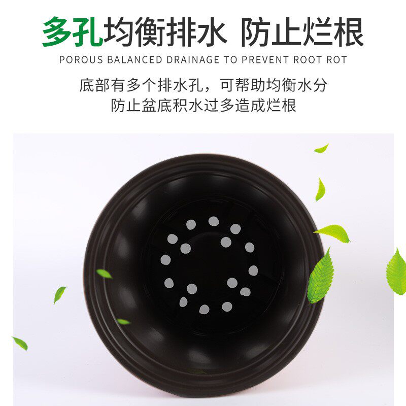 双色盆简易加厚一次性塑料花盆育苗盆大号营养钵培育盆多肉种植盆
