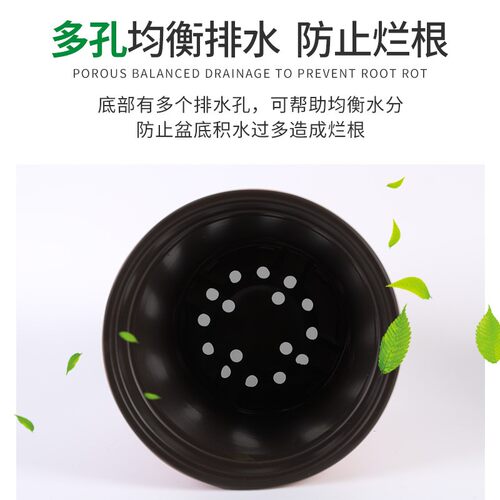 双色盆简易加厚一次性塑料花盆育苗盆大号营养钵培育盆多肉种植盆