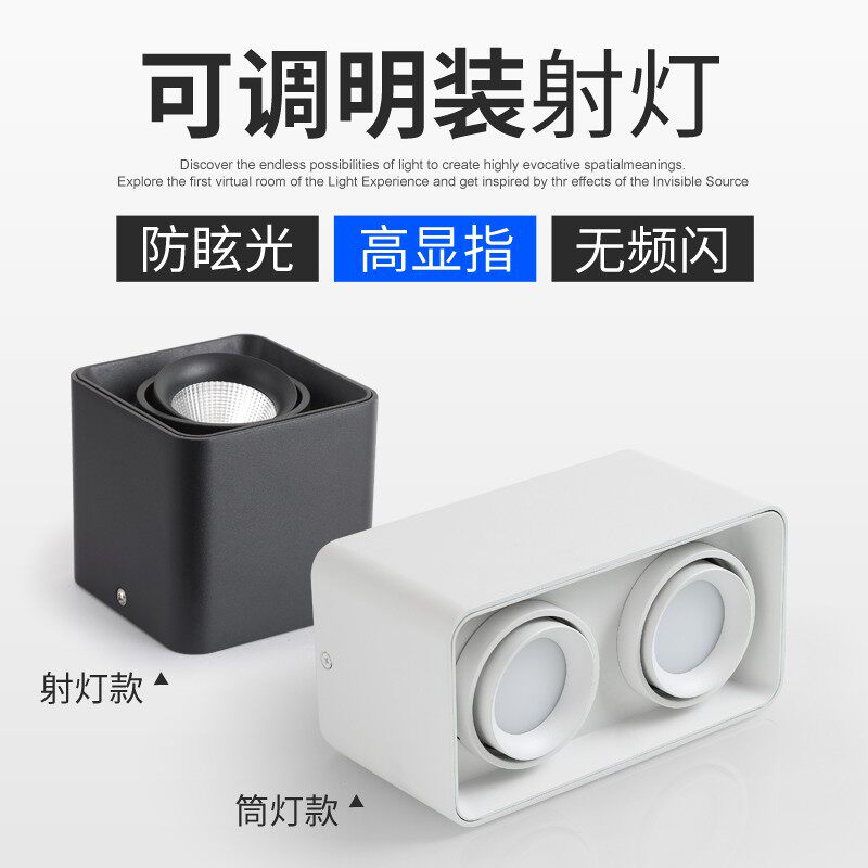 无主灯照明明装射灯可调角度斗胆灯双头led玄关过道筒灯吸顶射灯
