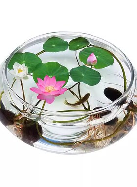 新中式玻璃花瓶碗莲水仙花盆透明水培花瓶铜钱草睡莲盆乌龟金鱼缸
