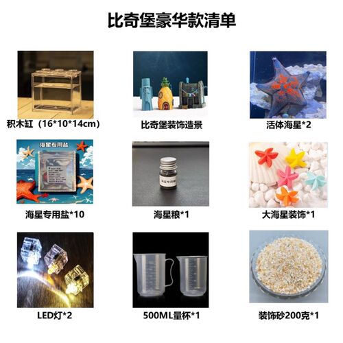海星饲养套餐 桌面宠物小景观 桌面鱼缸造景解压 海燕海星 礼品
