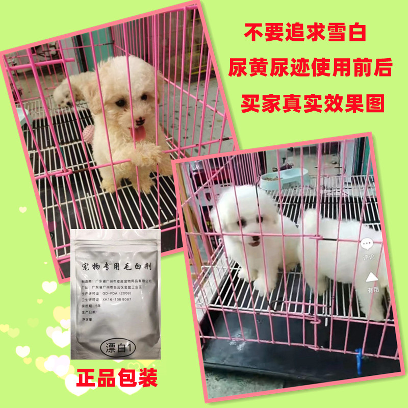 宠物猫狗狗毛白剂漂白剂白色染发美容剪