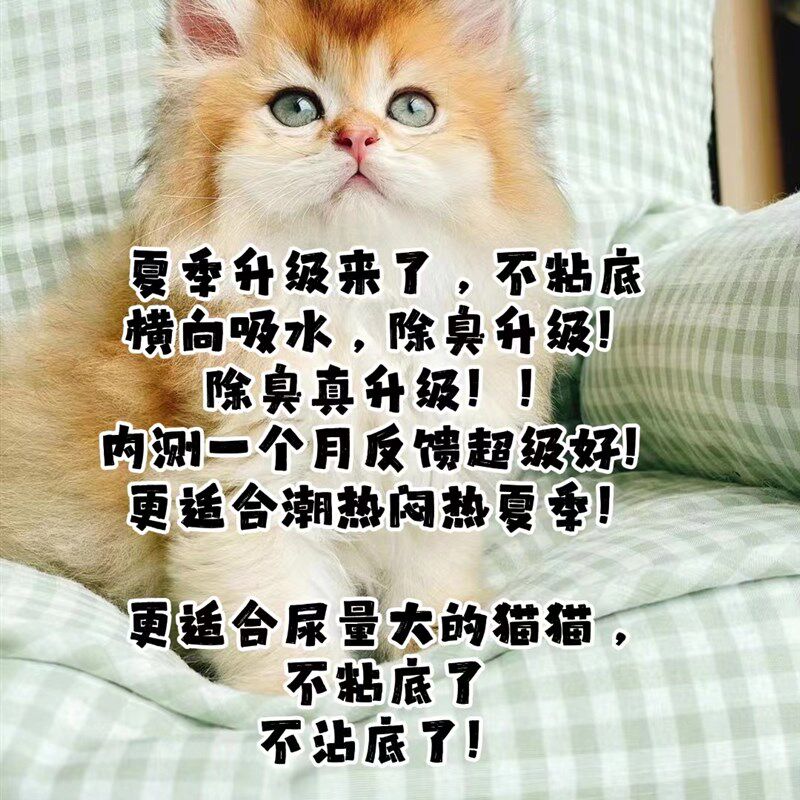 李兆赢钠基矿石膨润土猫砂去味胜猫砂
