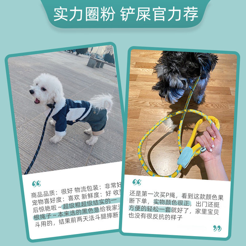 狗狗训犬专用P绳防爆冲牵引绳金毛宠物用品遛狗绳子P链大型犬用品