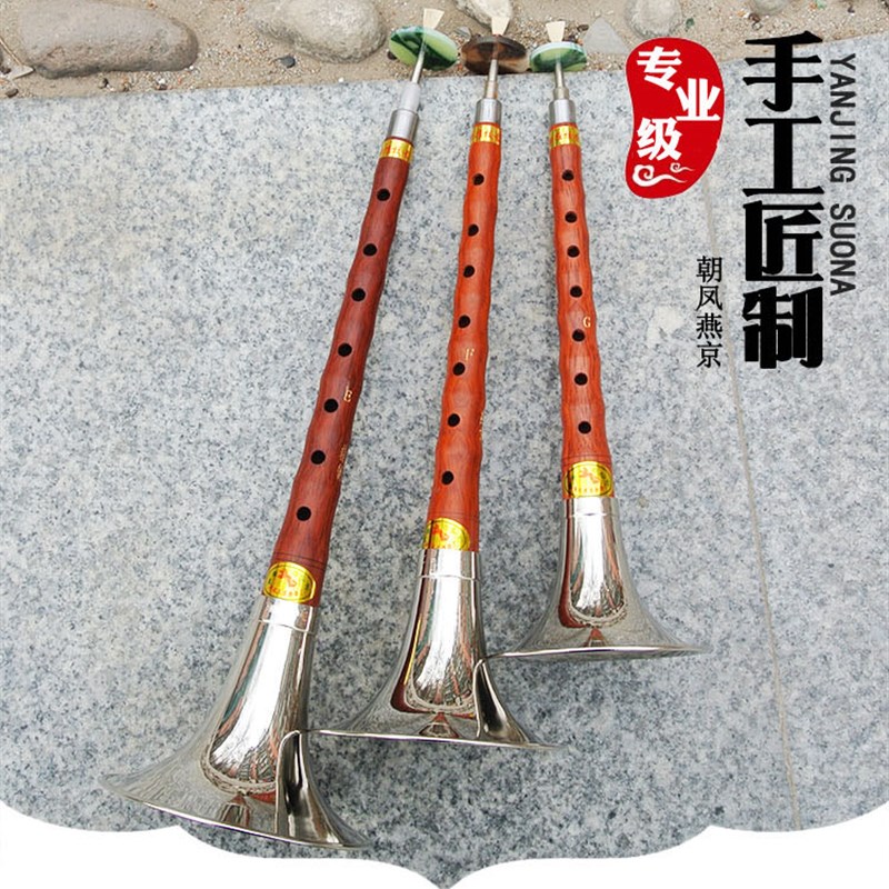 唢呐乐器初学者专业花梨木儿童小号d调e调百鸟朝凤锁呐成人降b调