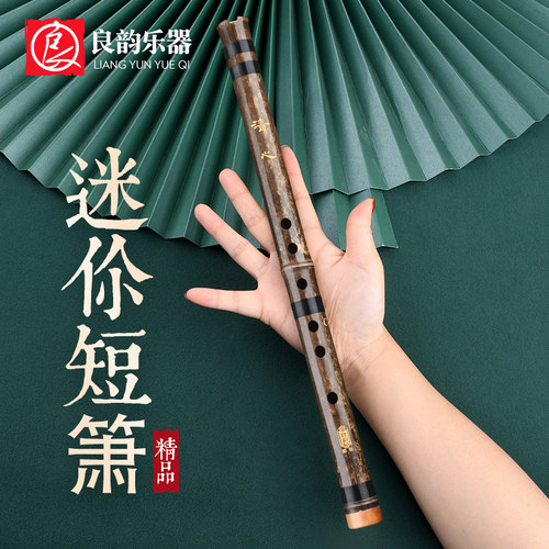 精品零基础入门洞箫便携苦竹短萧迷你小笛子古风六F调初学萧乐器