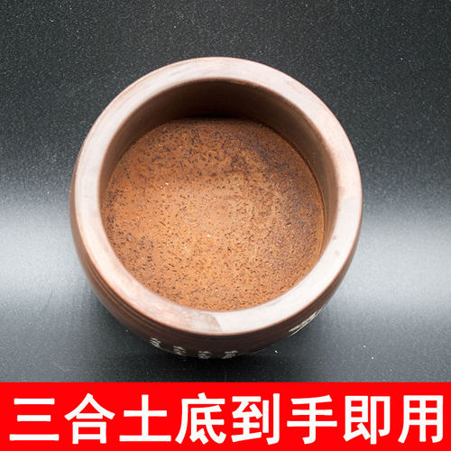 王立河腰鼓小带罐蛐蛐罐蟋蟀盆三合土底已煮茶老到手即用4个包邮