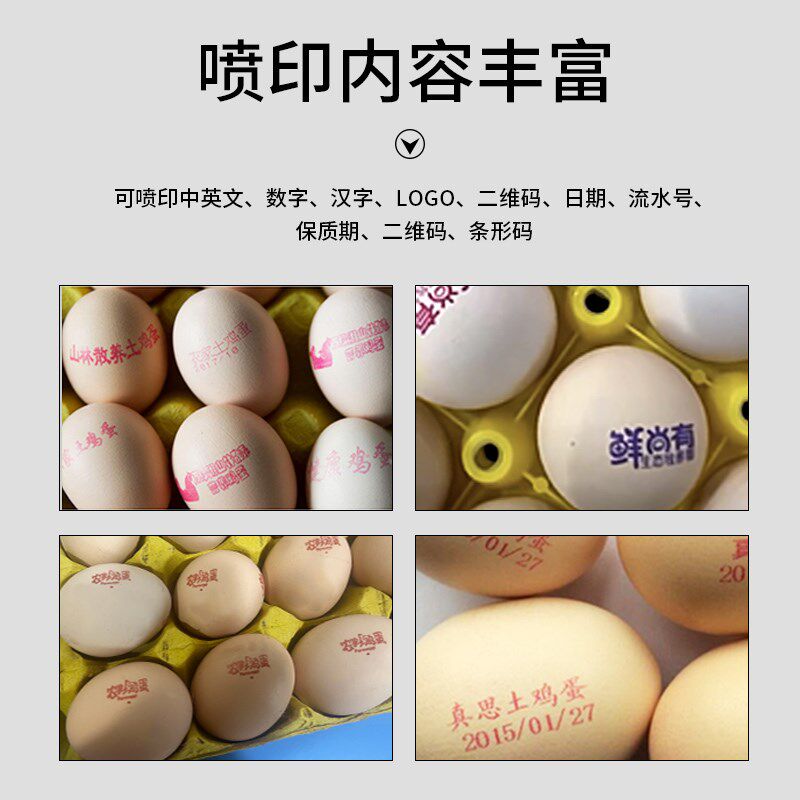 皇原全自动鸡蛋喷码机打生产日期鸡蛋鸭蛋鸽子蛋专用喷码机托盘式