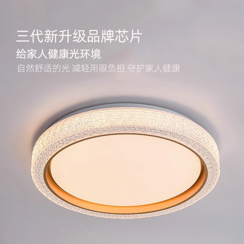 别墅大门口吸顶灯门厅灯入户灯户外庭院屋檐阳台室外大门口照明灯图片