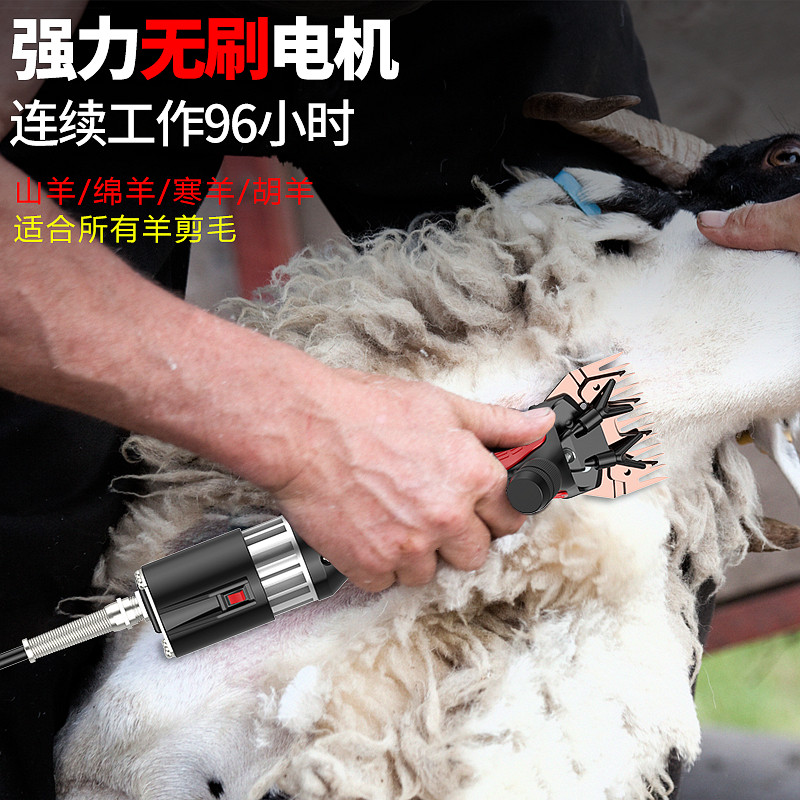 低压电动羊毛剪牧场专用北元刀片手持无刷剪羊毛机推羊毛的电推子