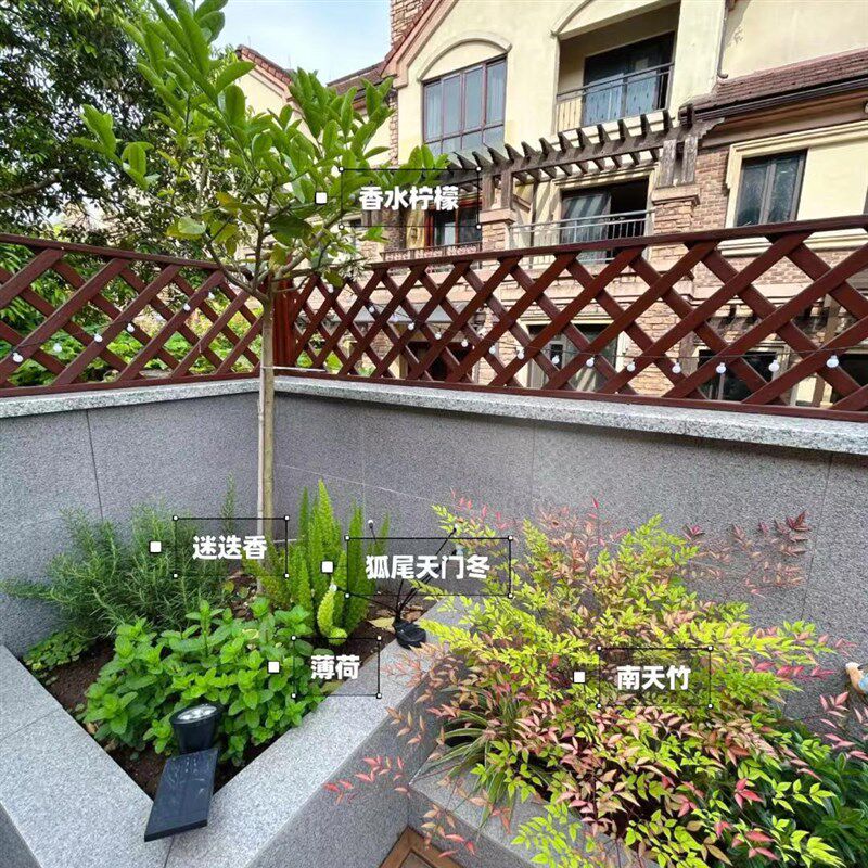 花镜定制阳台花园庭院花境整体设计组合露台景观造景布置四季常青