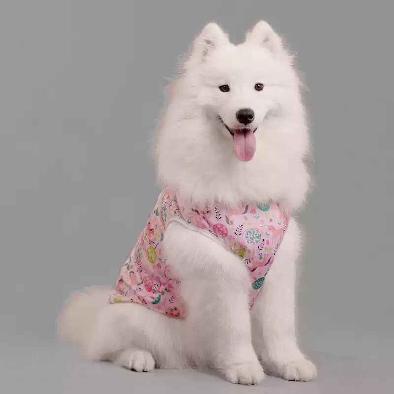 狗狗衣服春夏季薄款网眼透气四腿衣宠物猫咪中小型犬泰迪比熊服装