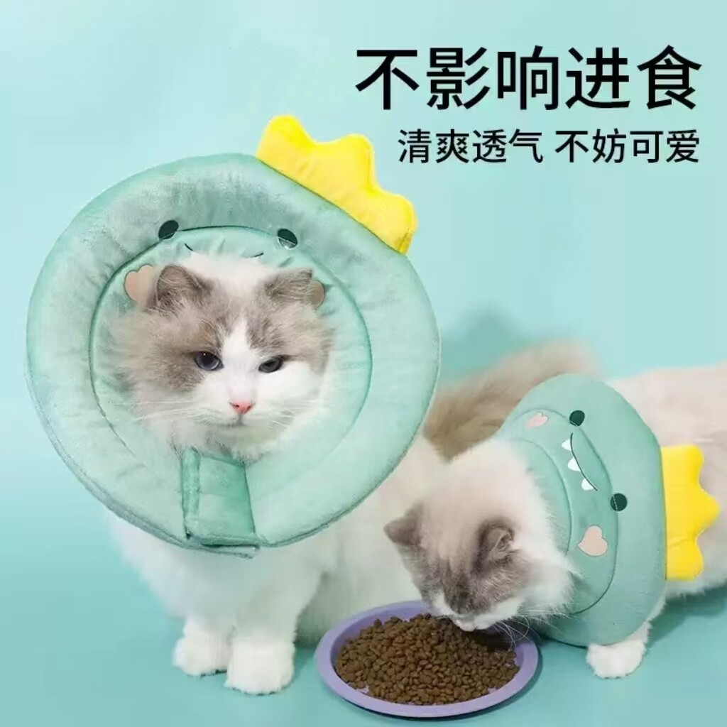 宠物猫咪伊丽莎白圈可调节胡萝卜卡通美短猫绝育项圈防咬术后脖套