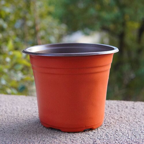 双色育苗花盆育苗钵插扦加厚大号营养杯种植花盆家用塑料育苗盆
