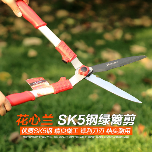 大剪刀修枝剪果树枝花木剪草坪绿化剪刀绿篱剪园林工具