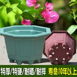 加厚八角塑料特大花盆 盆栽三角梅盆景树桩庭院种树盆包邮无托盘