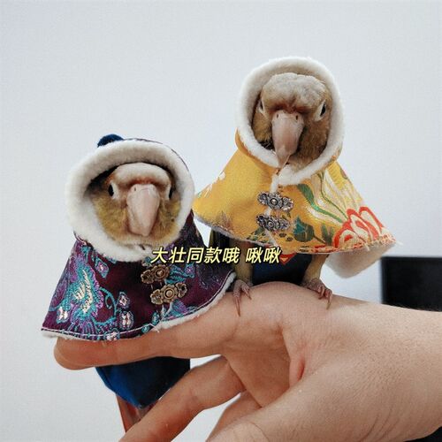 嬛嬛款鸟衣服鹦鹉披风玄凤加厚保暖外出服鹦鹉用品鸟用品