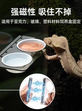 SuperRep爬宠悬浮二合一磁力树栖食盆水盆蜥蜴睫角守宫爬虫喂食